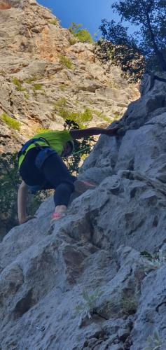 IMG-20200709-at-10.43.49-16