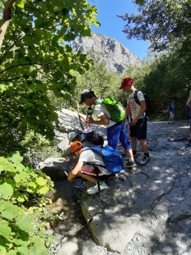 IMG-20200709-at-16.55.56