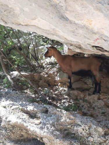 IMG-20200709-at-16.56.00