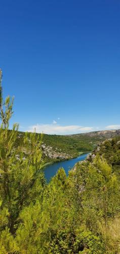 IMG-20200710-at-13.50.22-2